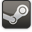 Steam